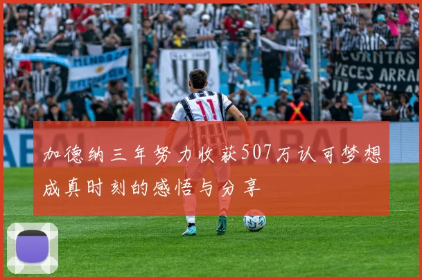 加德纳三年努力收获507万认可梦想成真时刻的感悟与分享
